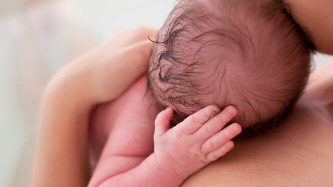 El primer contacto entre madre y bebé alberga muchos claves del desarrollo futuro