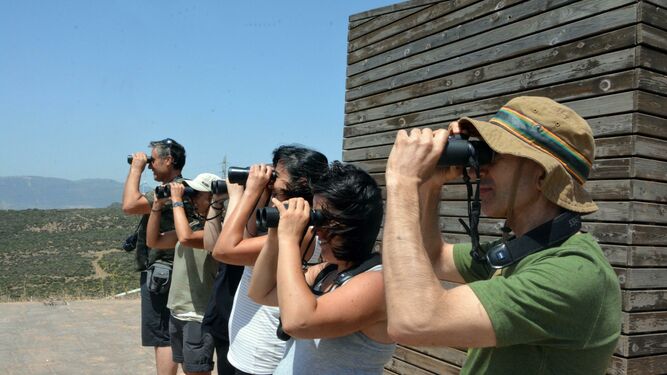 Un grupo de turistas avista aves en Tarifa.