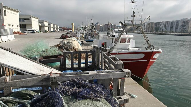 Varios buques pesqueros atracados en el Puerto de Algeciras.