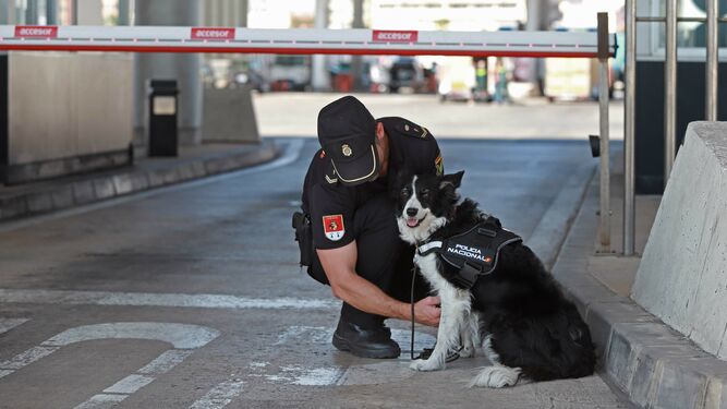Un agente de Policía con su perro en el Puerto de Algeciras