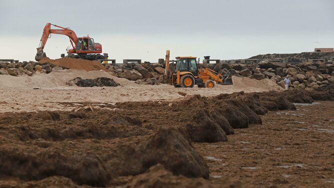 Dos excavadoras retiran algas de la playa de Los Lances, este verano