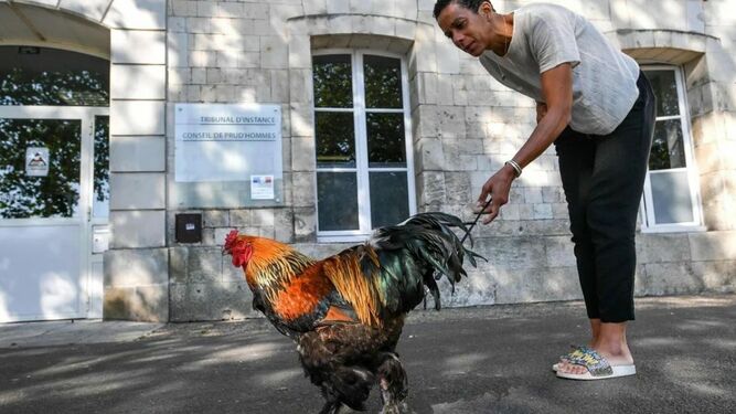 Maurice, el gallo más famoso de Francia