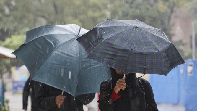 Dos personas, bajo la lluvia protegidas con paraguas.