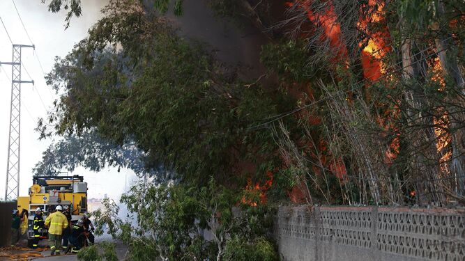 Incendio en el Camino de La Rana en La L&iacute;nea