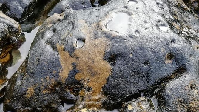 Una piedra de la zona de las piscinas de Bolonia, cubierta por una sustancia oscura