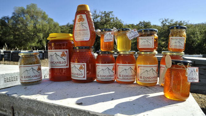 Los productos que Francis Romero saca del trabajo de la apicultura en Prado del Rey