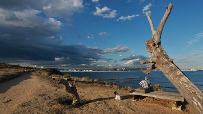 Las mejores fotos del parque del Centenario en Algeciras