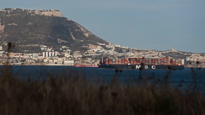 Las mejores fotos de la llegada del MSC Arina al puerto de Algeciras