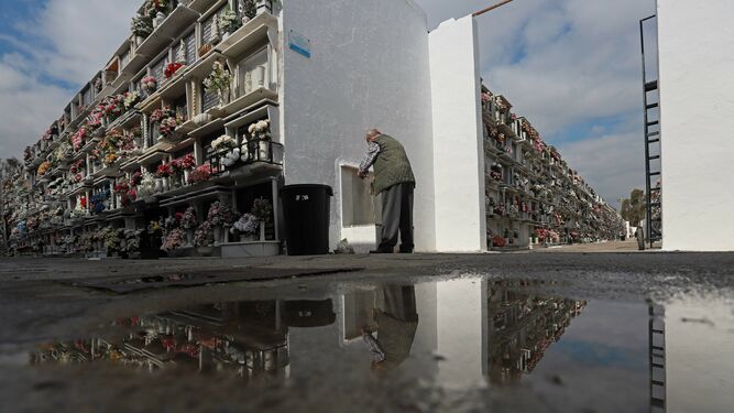 Preparativos para  los Tosantos en el cementerio de Algeciras