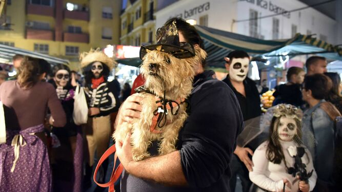 Las fotos de la gran noche de Tosantos en Algeciras