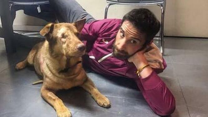 Dani Rovira, con un perro en adopción