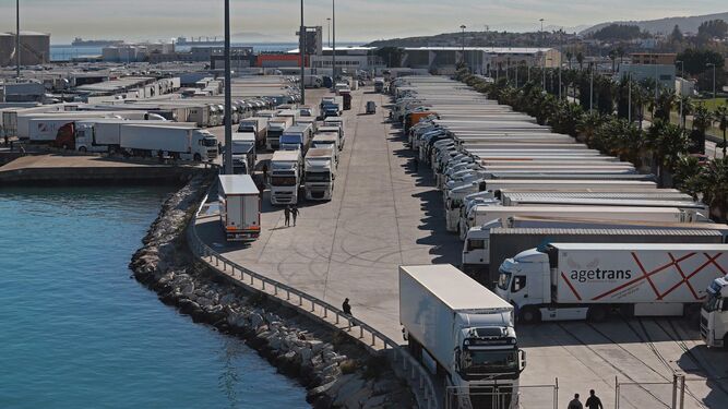 Camiones con remolques refrigerados en el Puerto de Algeciras.