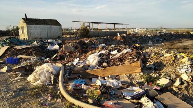 Ecologistas en Acción exige la reapertura de la planta de residuos de La Algaida.