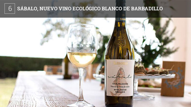 Bodegas Barbadillo ha presentado S&aacute;balo, su nuevo vino blanco elaborado con uva Palomino Fina 100% ecol&oacute;gica. El nombre viene de S&aacute;balo, un pez viajero de mar, pero que desaf&iacute;a las corrientes del r&iacute;o en su camino a la zona de desove. "Es una gran met&aacute;fora que representa el esp&iacute;ritu emprendedor y aventurero de Barbadillo", se&ntilde;alan desde la firma, que se introduce as&iacute; en el mundo de los vinos ecol&oacute;gicos.