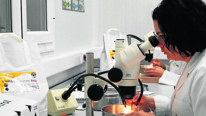Una operaria, en las instalaciones del laboratorio de Agrobío haciendo tareas de control de calidad.