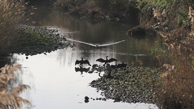 Las mejores fotos del parque fluvial del R&iacute;o P&iacute;caro