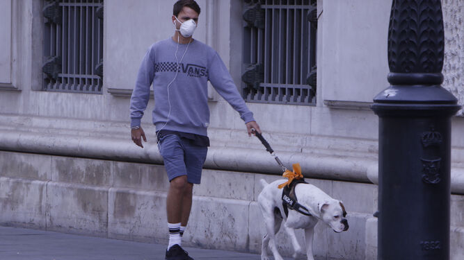 Un joven con mascarilla pasea a su perro.