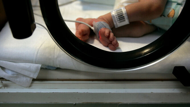 Un bebé prematuro, dentro de una incubadora.