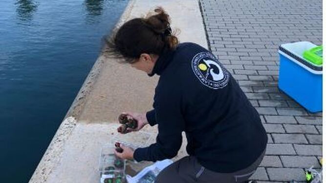 Una investigadora toma una muestra en aguas de la Bahía de Algeciras.