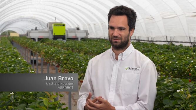 Entrevista a Juan Bravo, CEO de Agrobot.