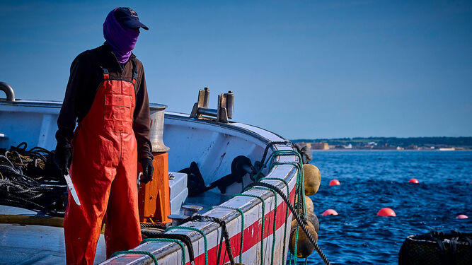 Trabajos durante el izado a bordo de la pesca.