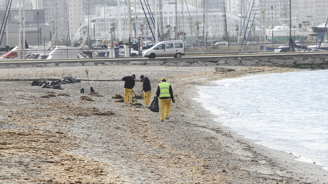 Trabajadores de un plan de empleo limpian la playa de Poniente de La Línea.