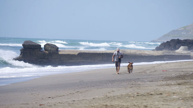 Una persona pasea con un perro por una playa de La Línea.