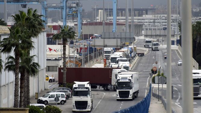 Trasiego de camiones en el acceso a la terminal de contenedores de APM Terminals.