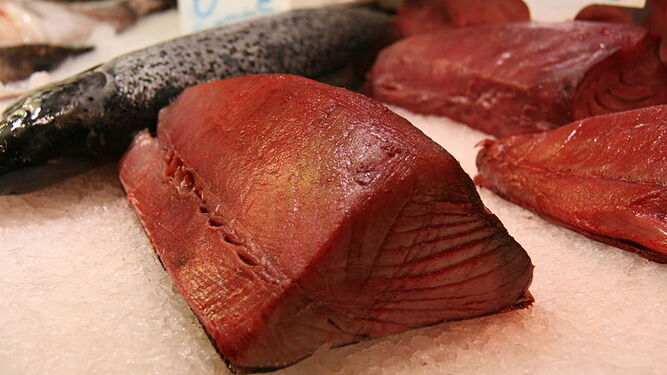 El atún rojo es la especie que presenta mayores niveles de mercurio.
