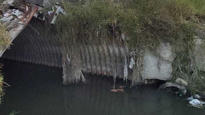 Agaden vuelve a los juzgados los vertidos de aguas residuales en Los Lances