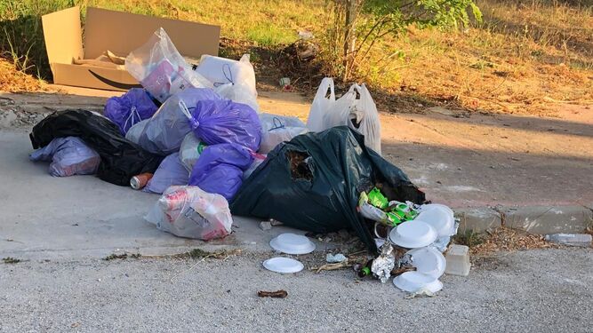 Residuos acumulados en una calle de Los Barrios.