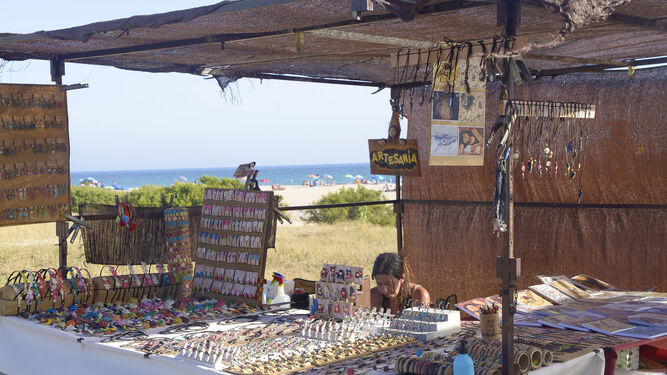 Fotos de Plastic free tour en el mercadillo y la playa de Bolonia