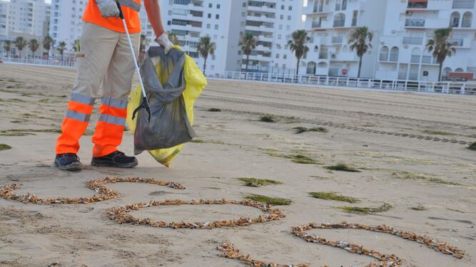 Un operario de limpieza de playas recoge colillas dejadas por los usuarios.