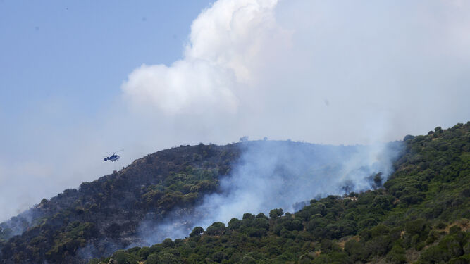 Fotos del incendio en la urbanizaci&oacute;n El Faro