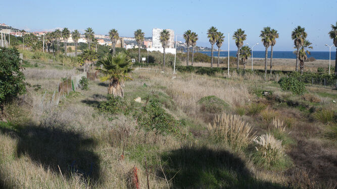 Los terrenos del área 022-TG de San Roque, en Torreguadiaro.