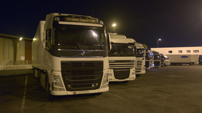 Varios camiones pernoctan en el Puerto de Algeciras.