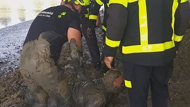 Momento en el que los bomberos rescatan al hombre del fango.