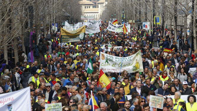 Manifestación de los agricultores por las calles de Granada