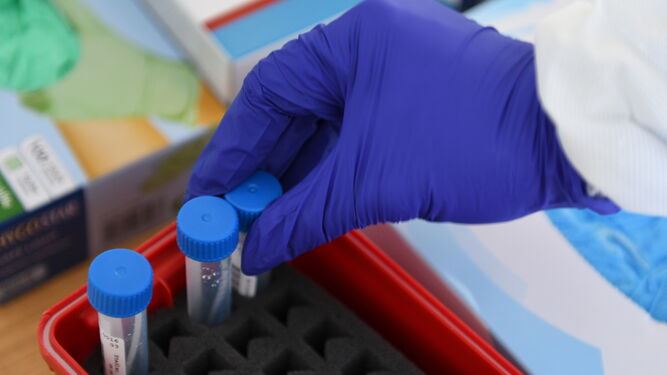 Un profesional almacena unas muestras para pruebas PCR.
