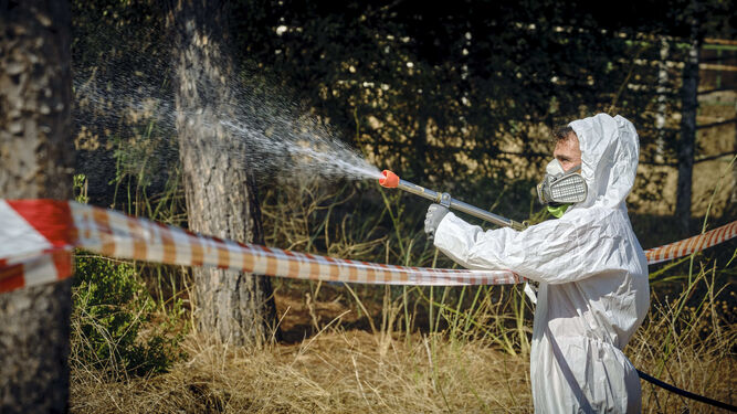Un operario fumiga contra el mosquito para evitar contagios del Virus del Nilo.