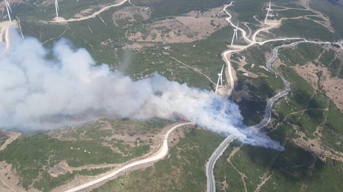 Incendio forestal en Tarifa, junto al Mirador del Estrecho
