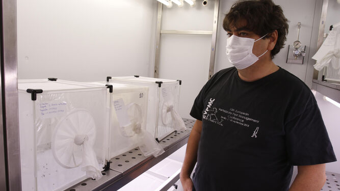El investigador Jordi Figuerola, junto a los mosquitos objetos de estudio en la Estación de Doñana.