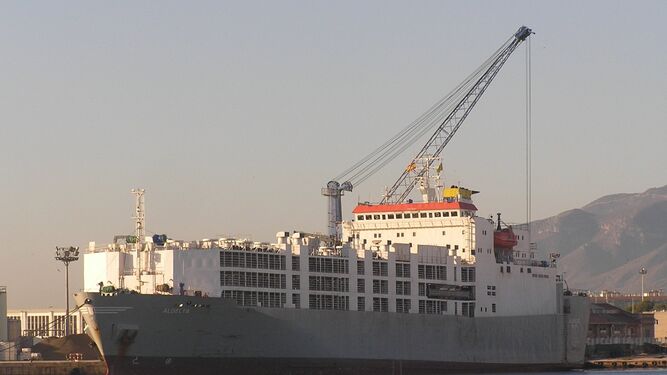 Un barco ganadero de considerables dimensiones, el 'Aldelta', atracado en el puerto de Málaga en una imagen de hace tres años.