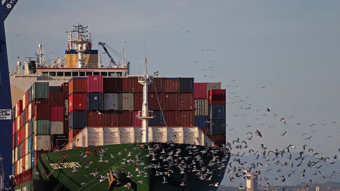 Una bandada de gaviotas vuela junto a la proa de un portacontenedores en el Puerto de Algeciras.
