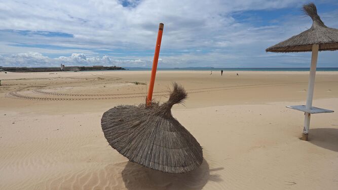 Ecomar ha trabajado en la limpieza de las playas de Tarifa, entre otras.