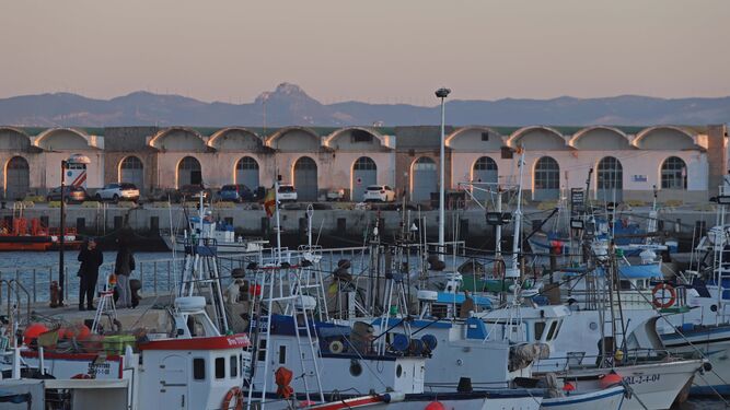 Vista general del Puerto de Tarifa.