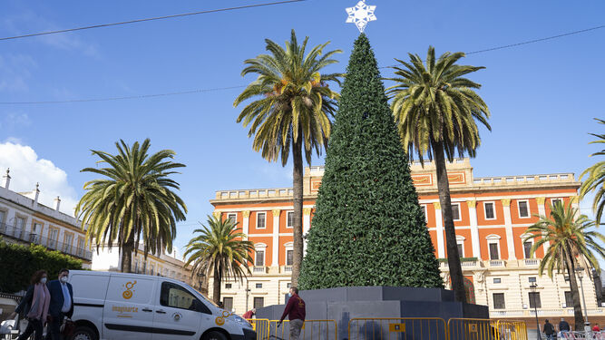 Abeto de Navidad instalado en la Plaza del Rey para su iluminación.