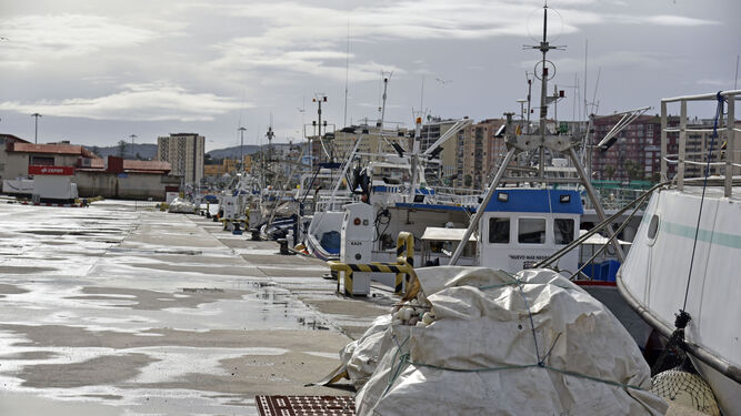 Barcos amarrados junto a la lonja de Algeciras.
