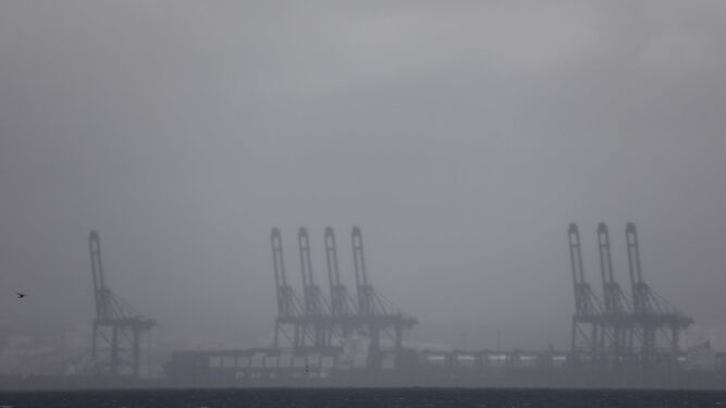 Fotos del temporal de lluvia y viento en el Campo de Gibraltar