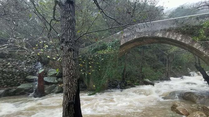 El río de la Miel, bajo el viejo puente de piedra.